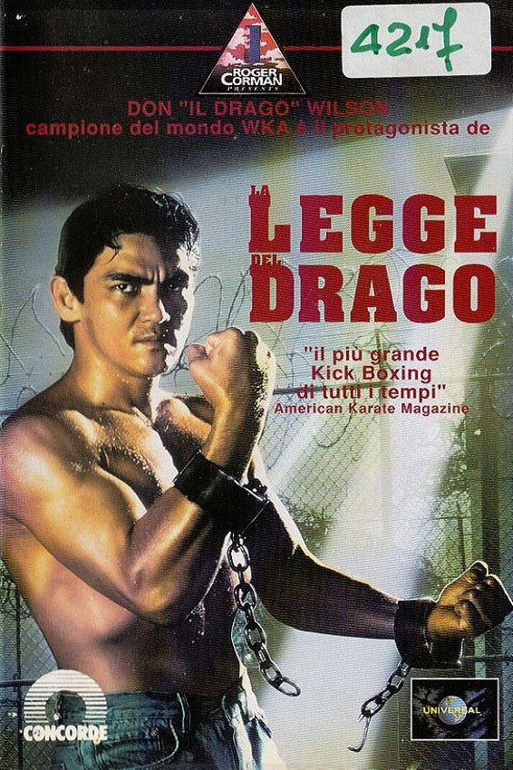 Locandina di La legge del drago