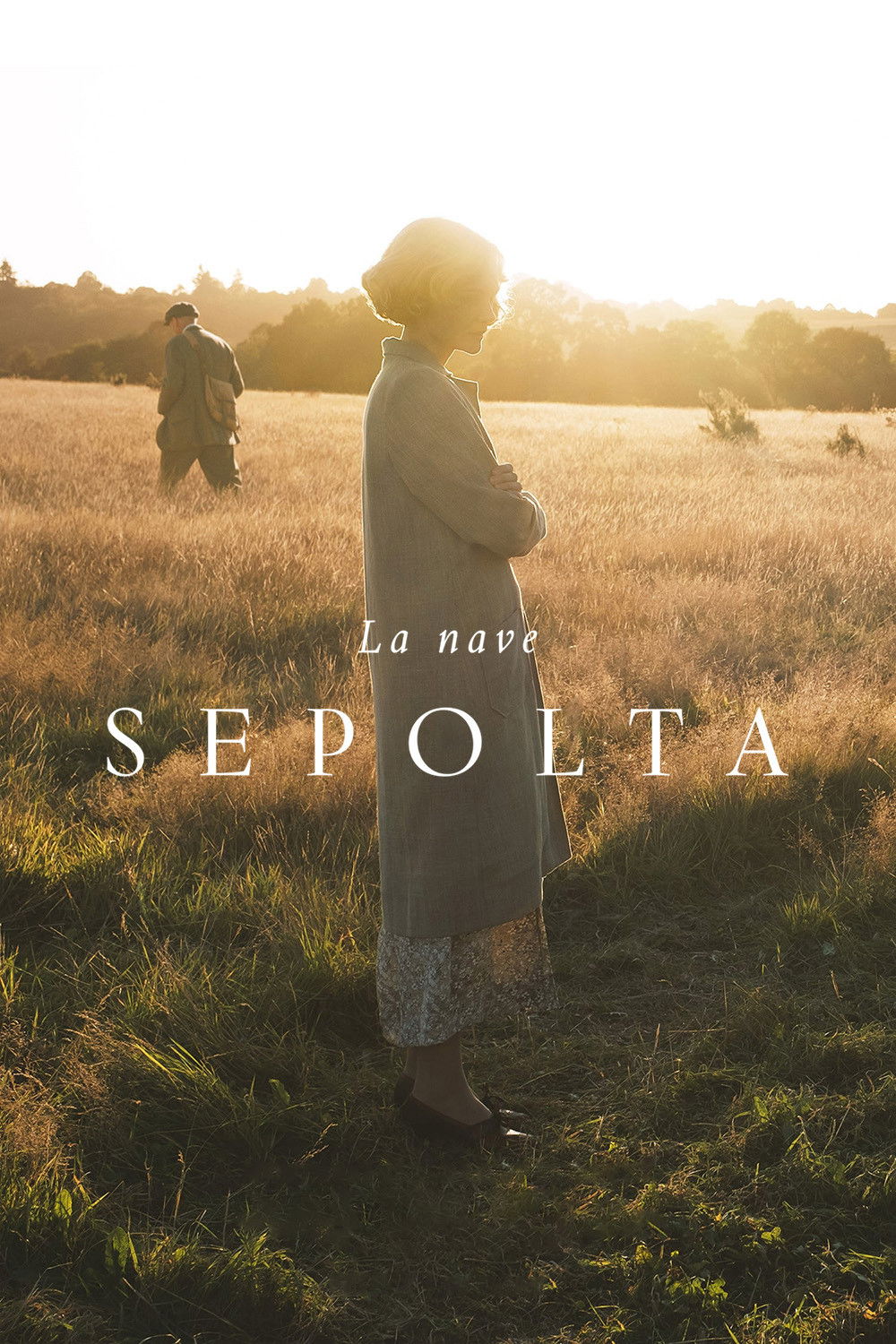 Locandina di La nave sepolta
