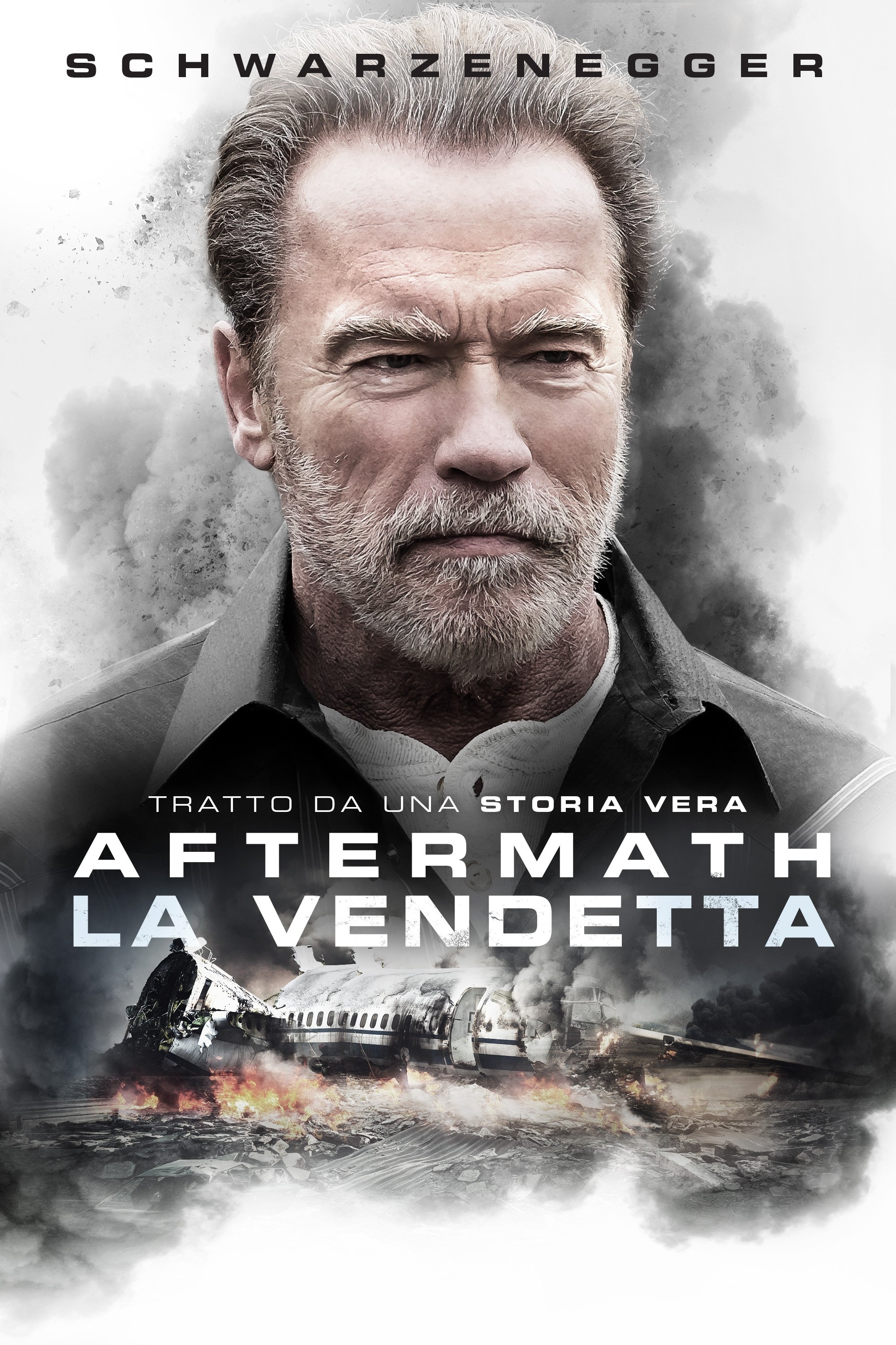 Locandina di La vendetta: Aftermath