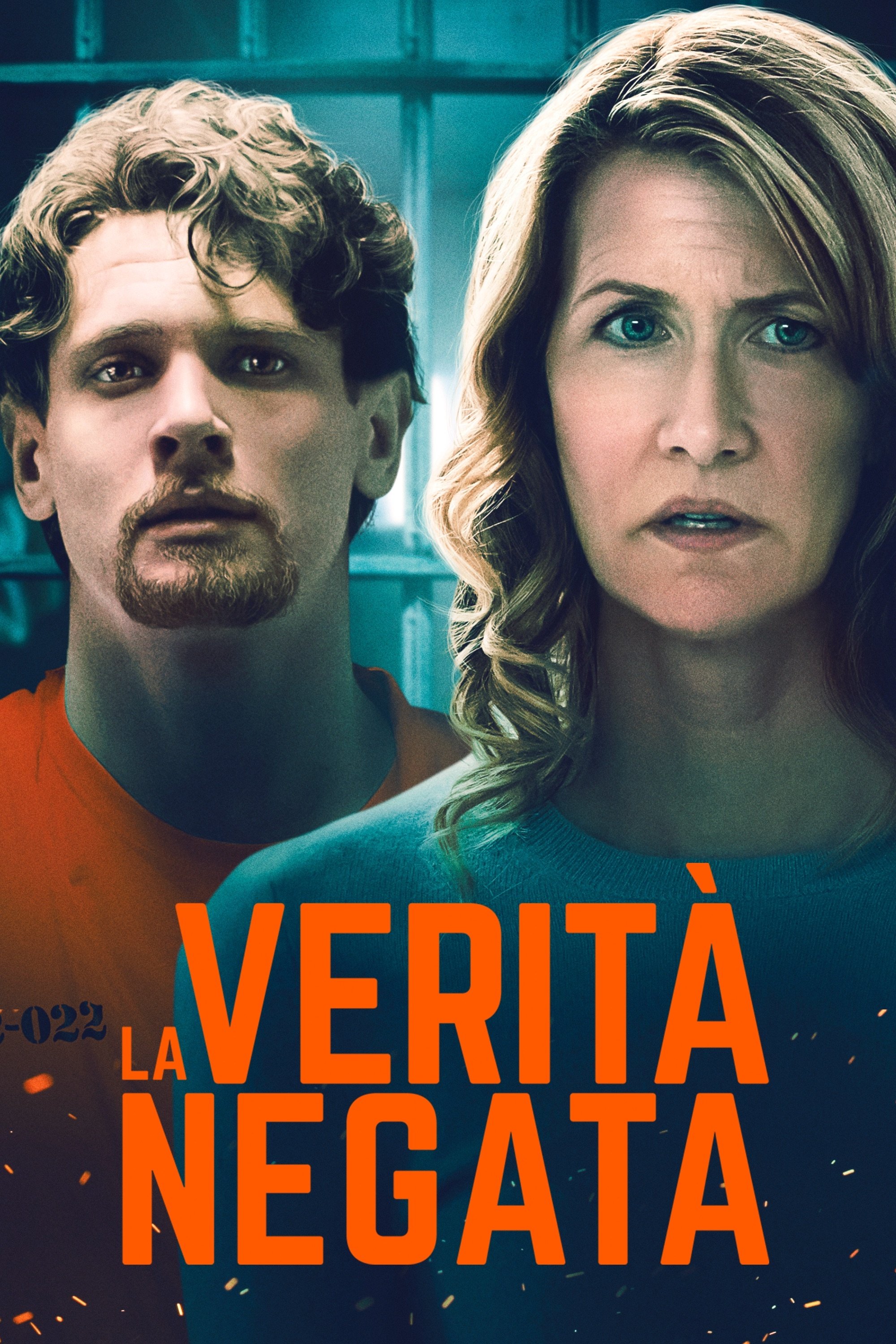 Locandina di La verità negata