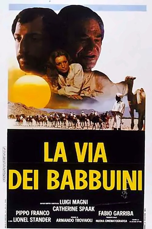 Locandina di La via dei babbuini