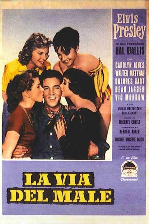 Locandina di La via del male
