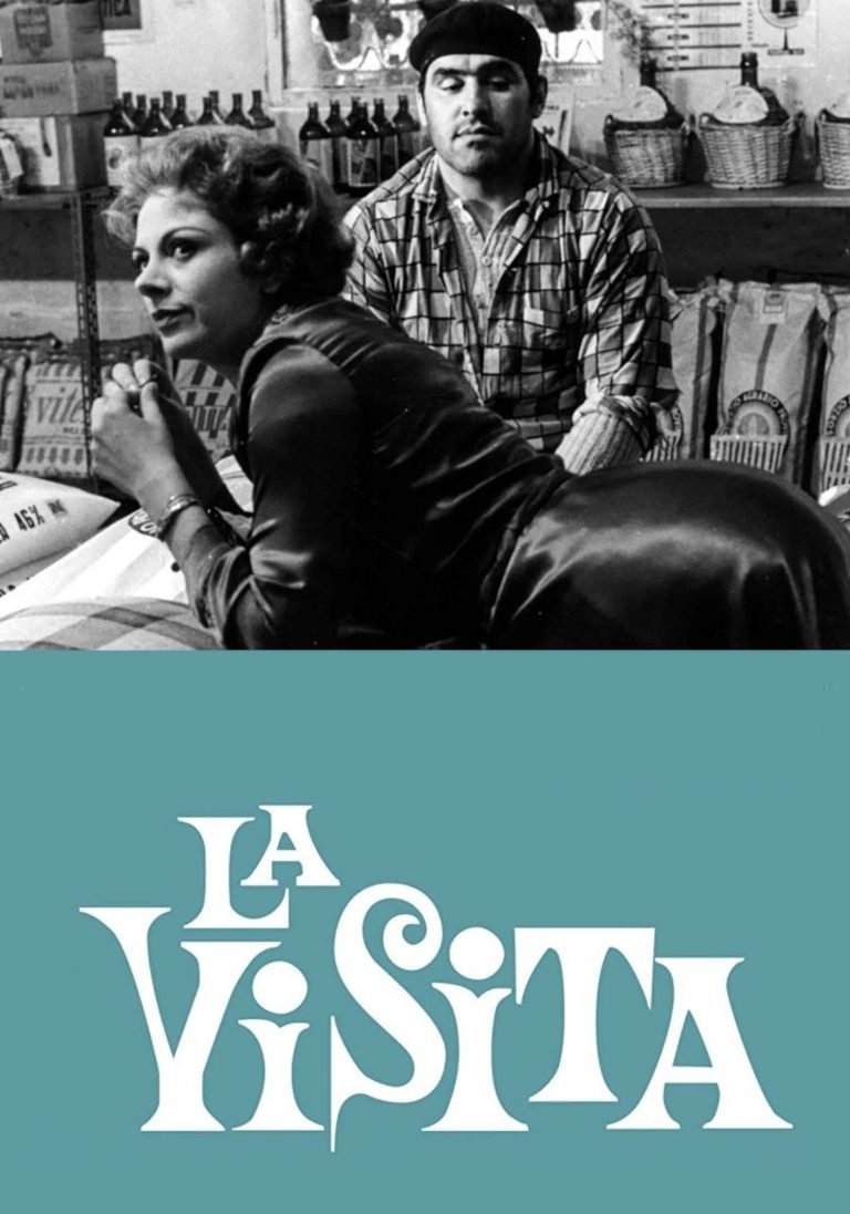 Locandina di La visita