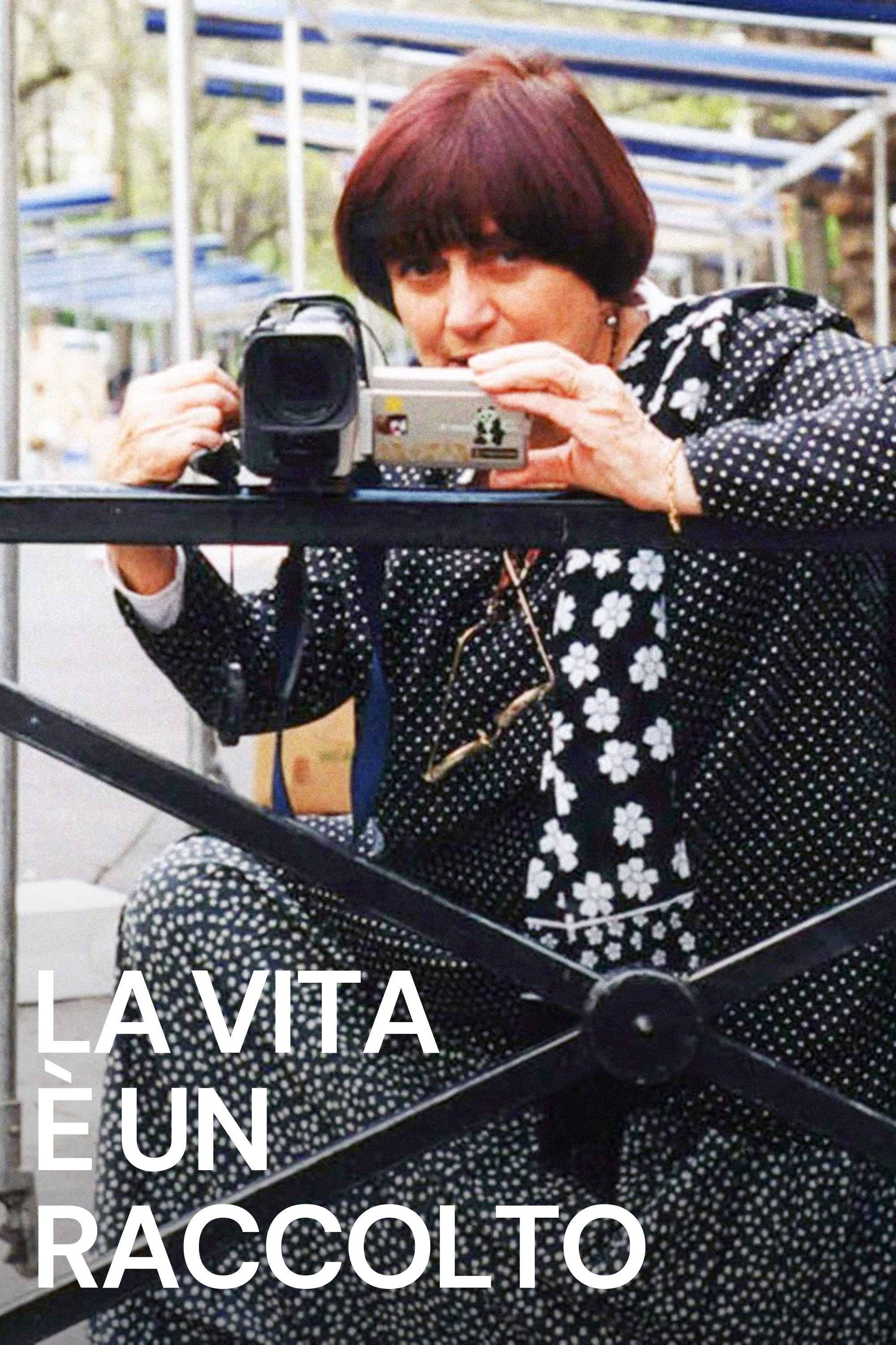 Locandina di La vita è un raccolto