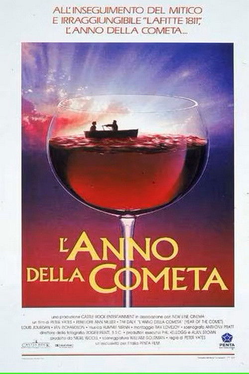 Locandina di L'anno della cometa