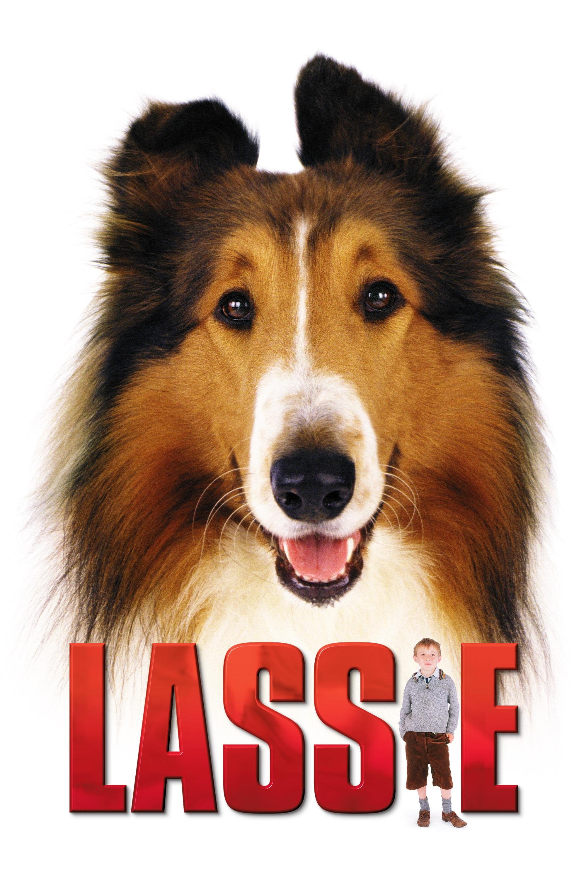 Locandina di Lassie