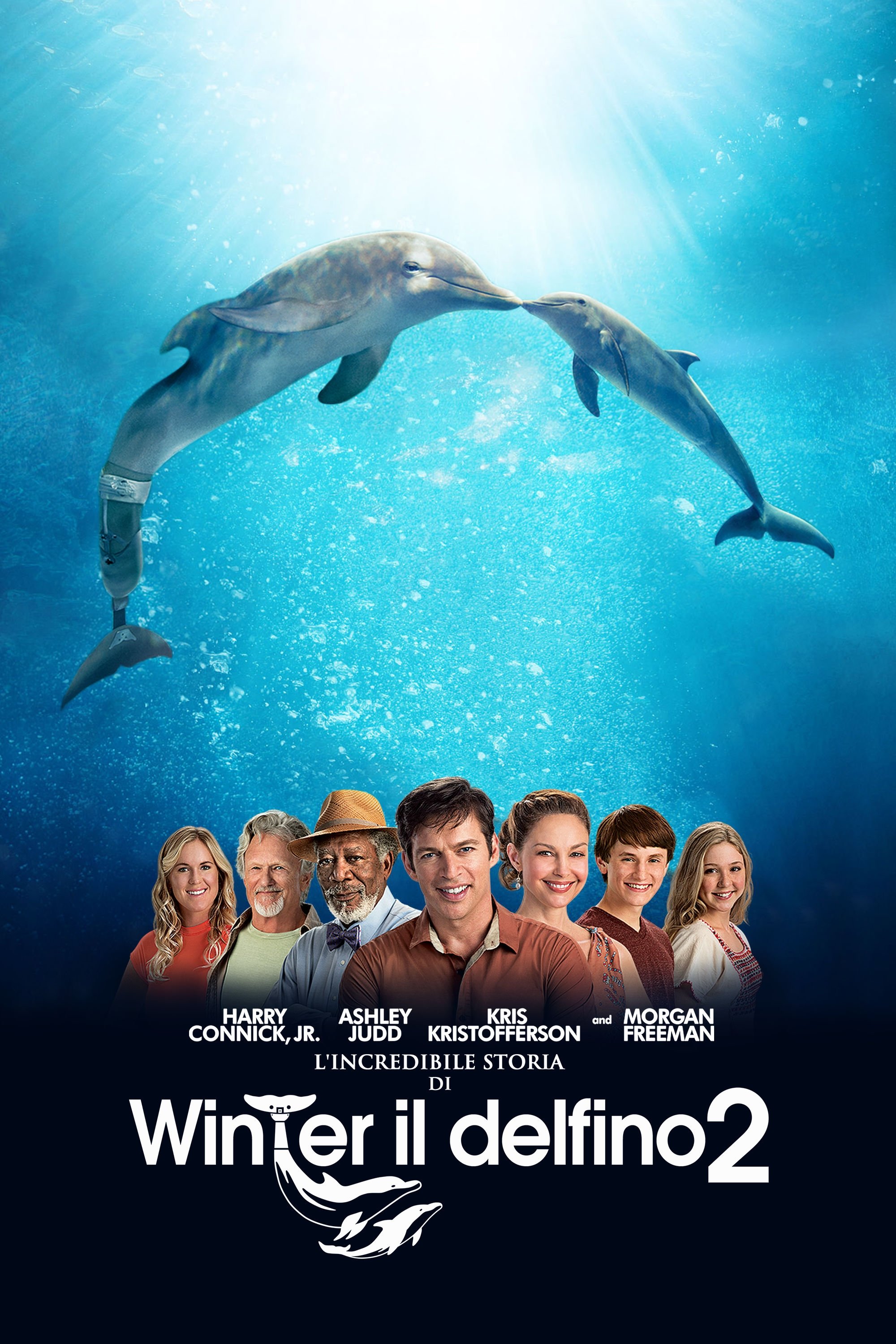 Locandina di L'incredibile storia di Winter il delfino 2