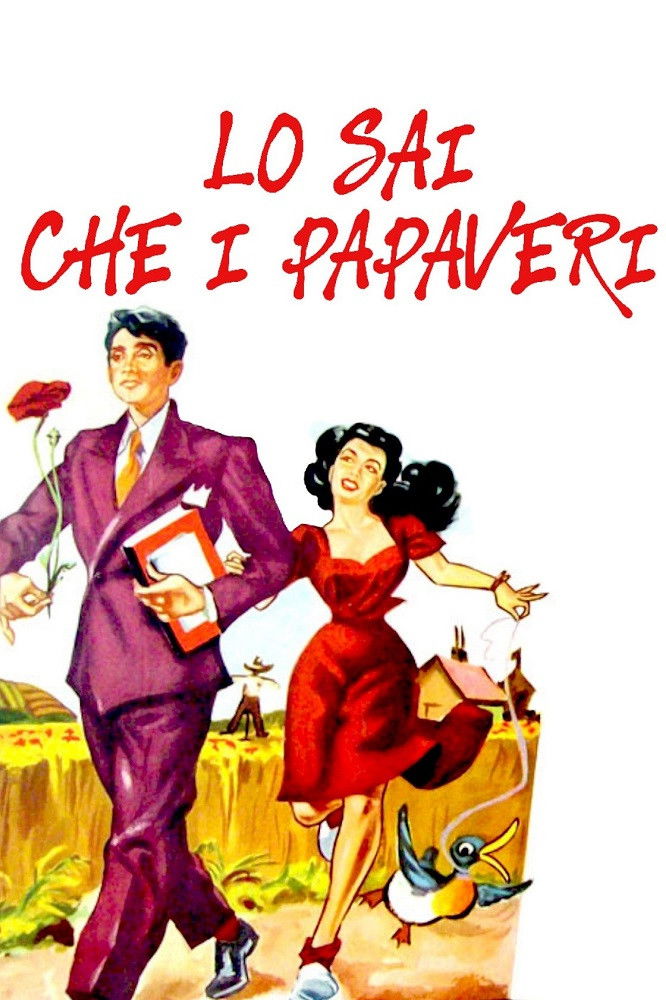 Locandina di Lo sai che i papaveri...