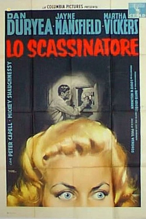 Locandina di Lo scassinatore
