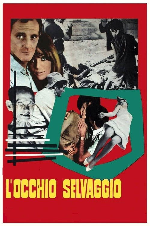 Locandina di L'occhio selvaggio