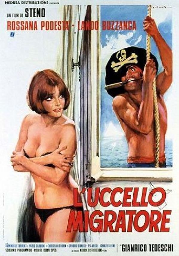 Locandina di L'uccello migratore