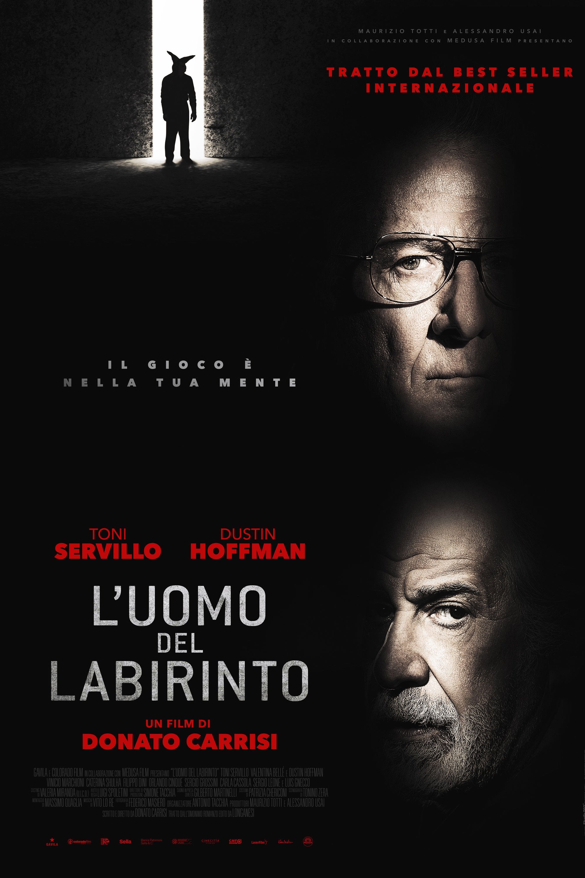 Locandina di L'uomo del labirinto