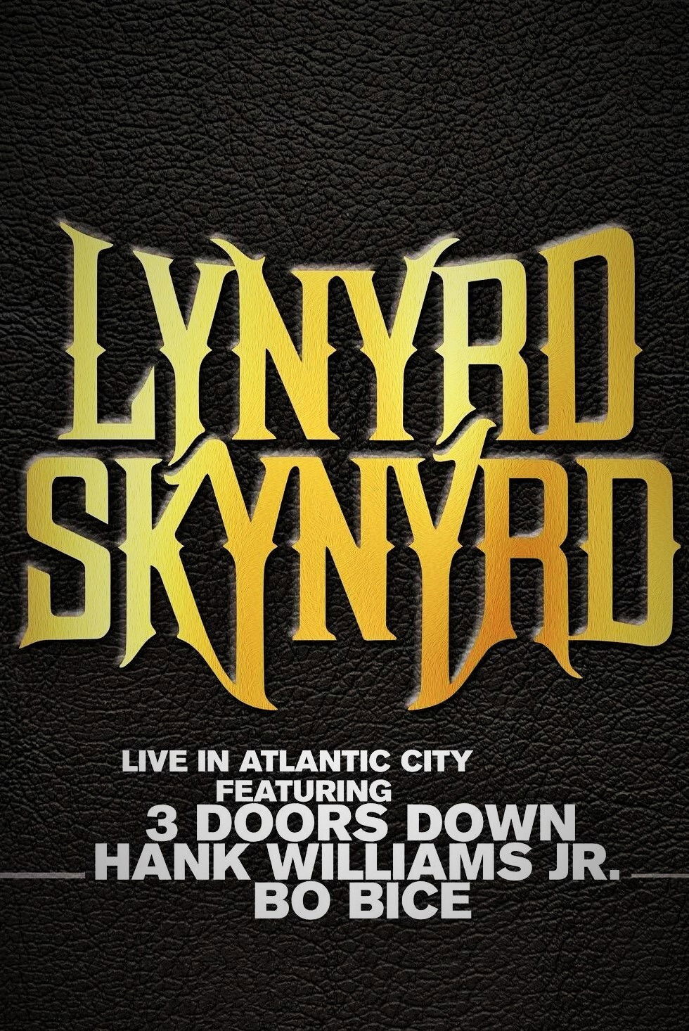Locandina di Lynyrd Skynyrd - Live in Atlantic City
