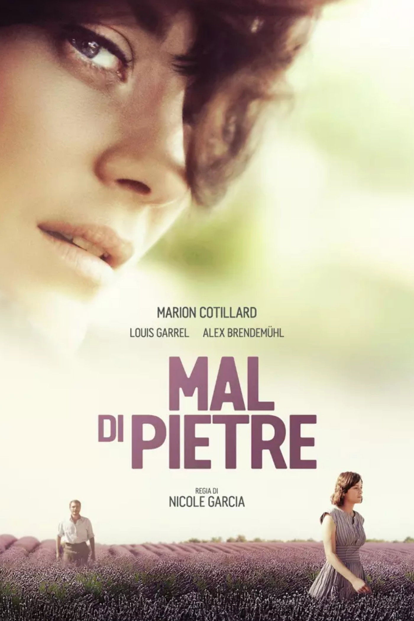 Locandina di Mal di pietre