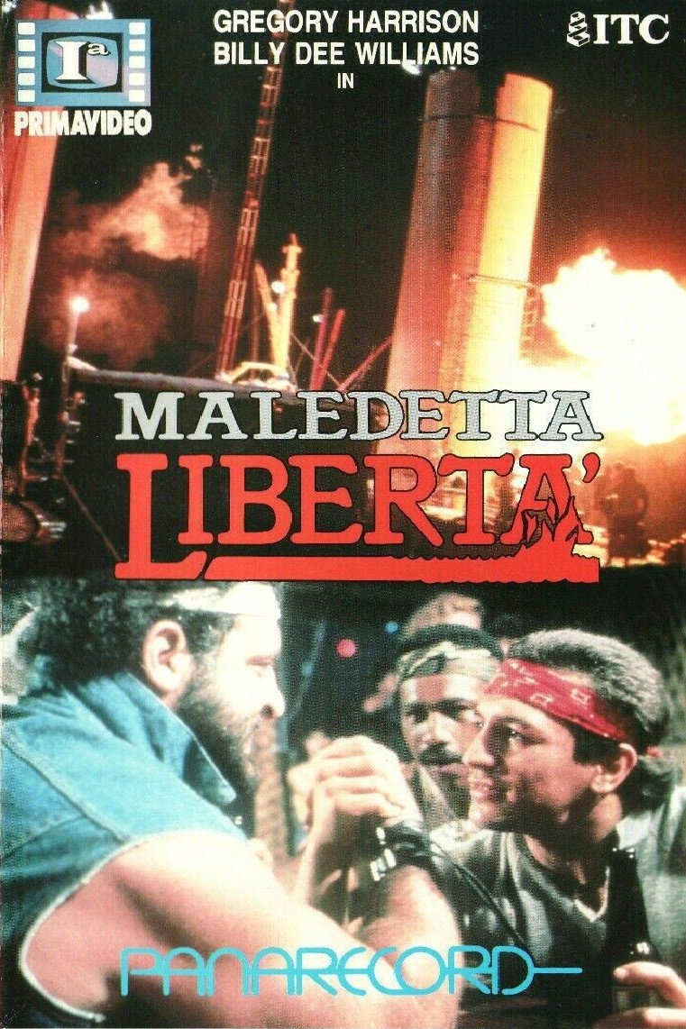 Locandina di Maledetta libertà