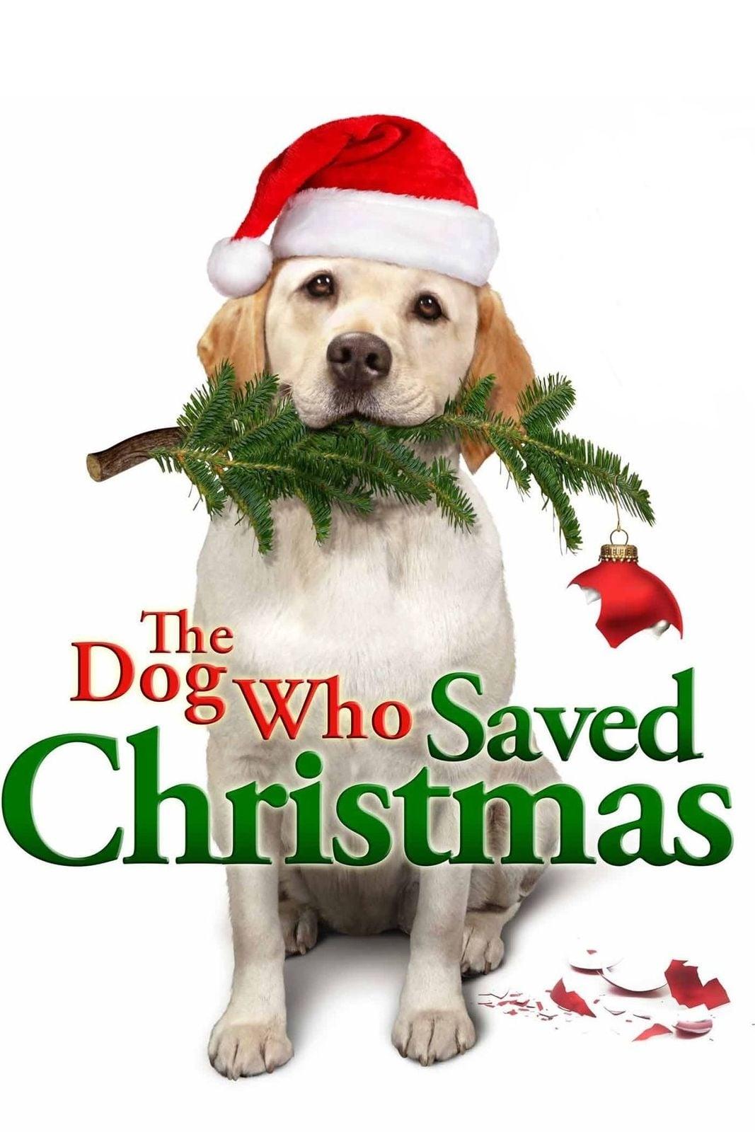 Locandina di Mamma che Natale da cani!
