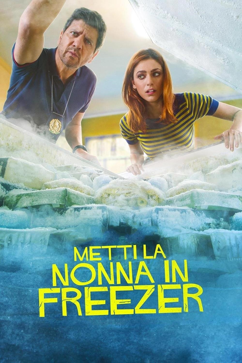 Locandina di Metti la nonna in freezer