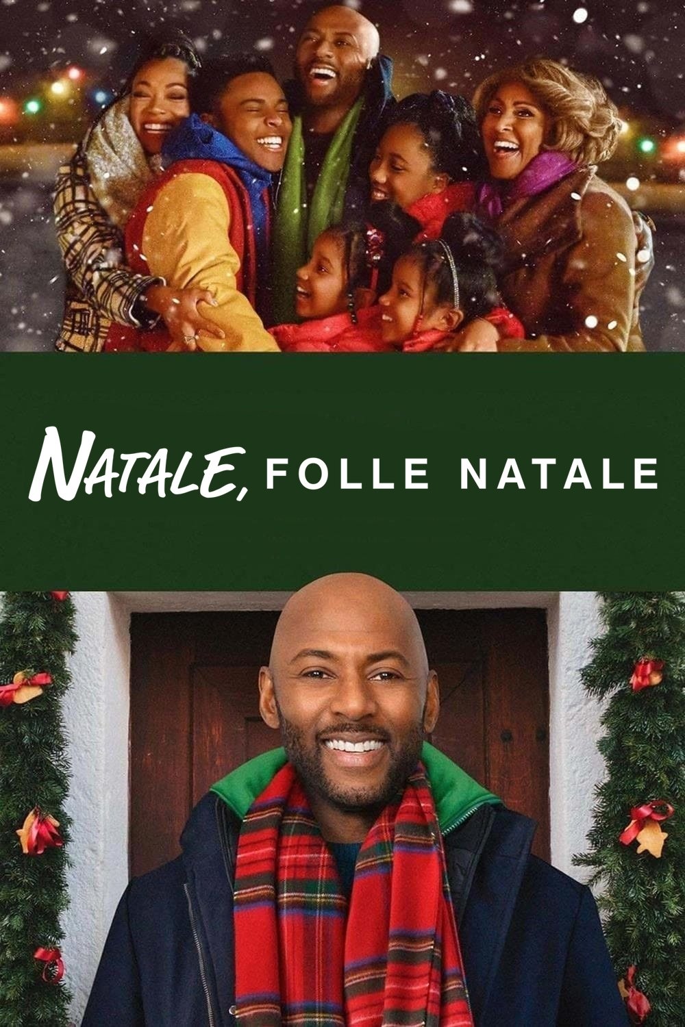 Locandina di Natale, folle Natale
