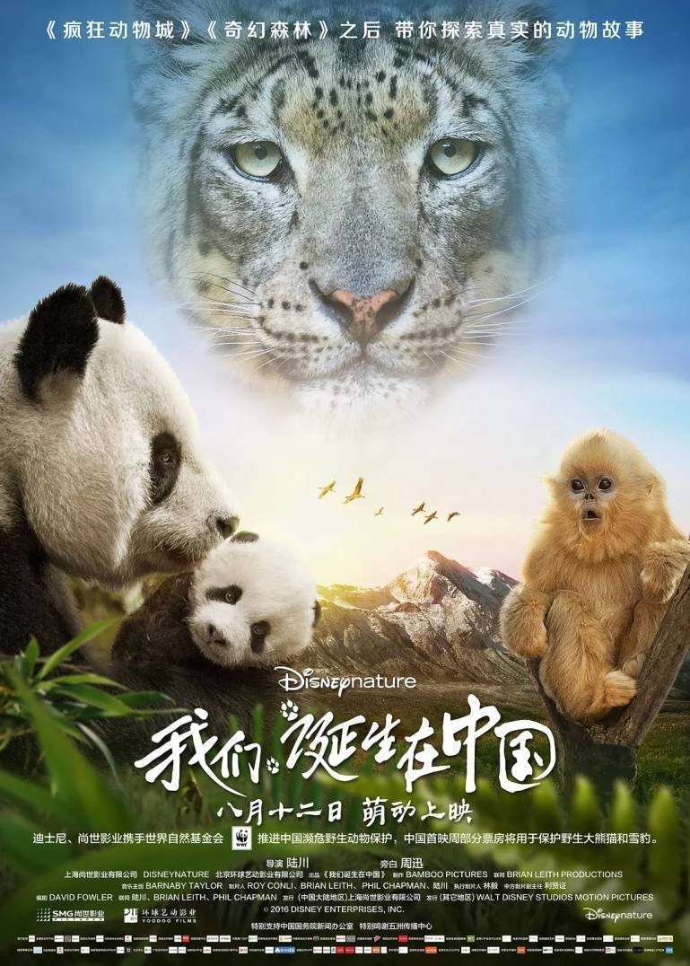 Locandina di Nati in Cina