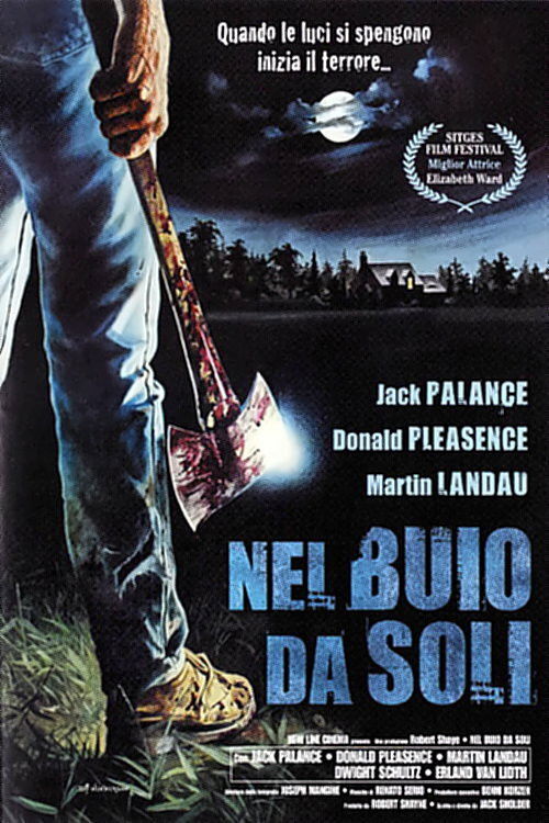 Locandina di Nel buio da soli