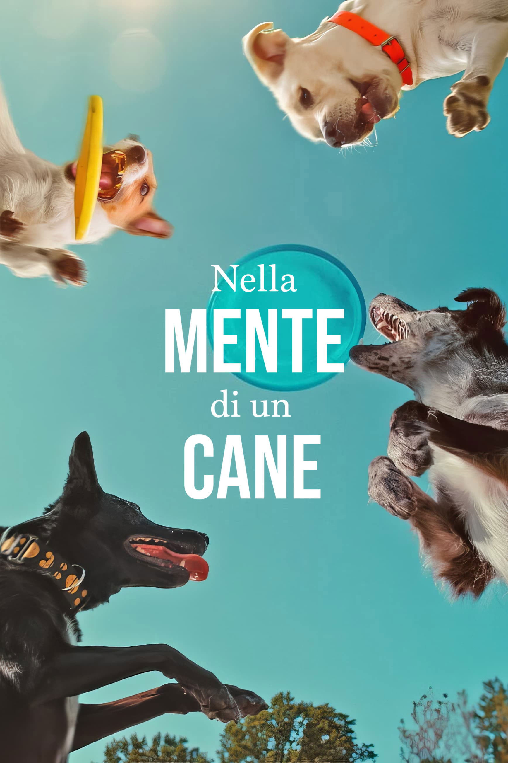 Locandina di Nella mente di un cane