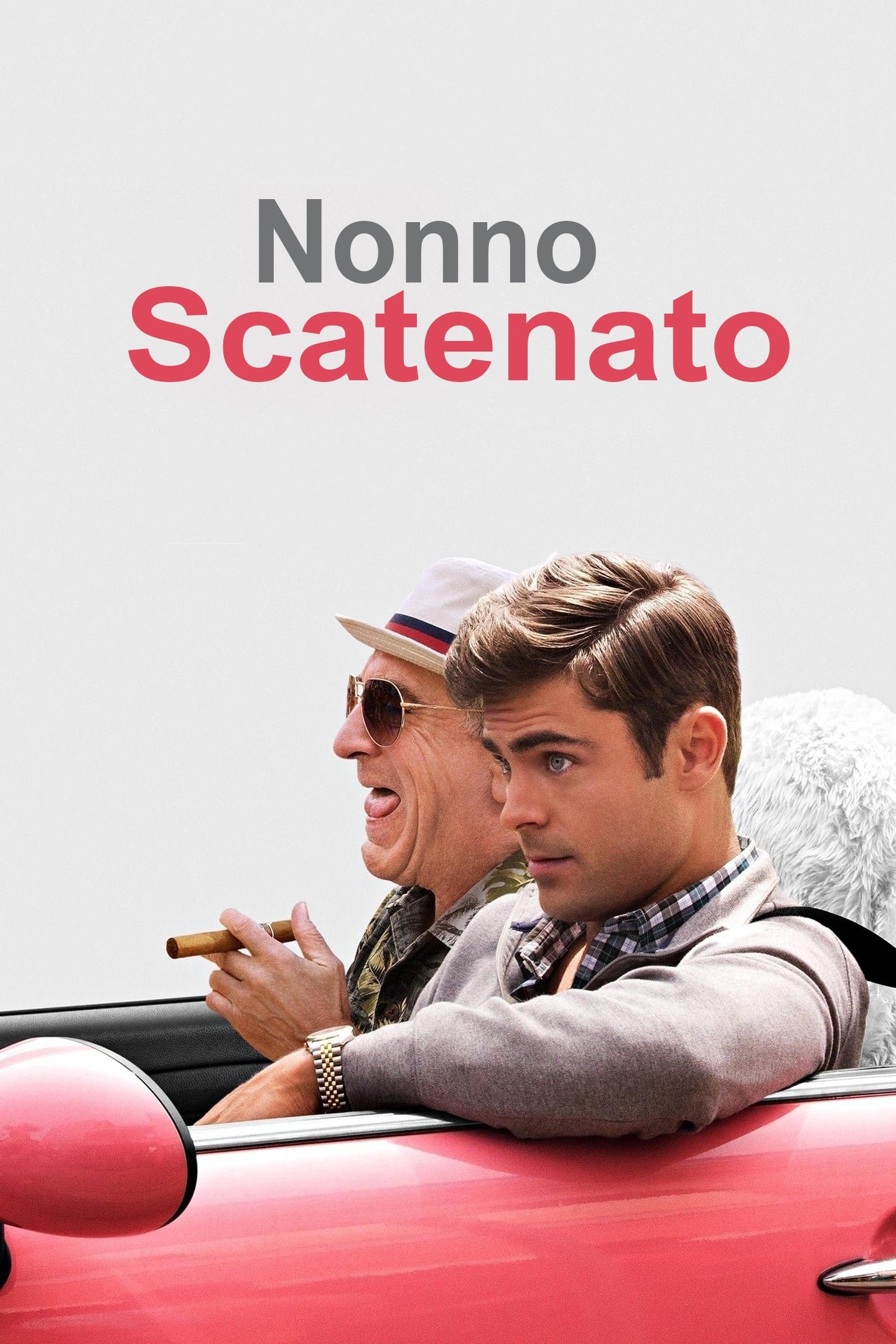 Locandina di Nonno scatenato