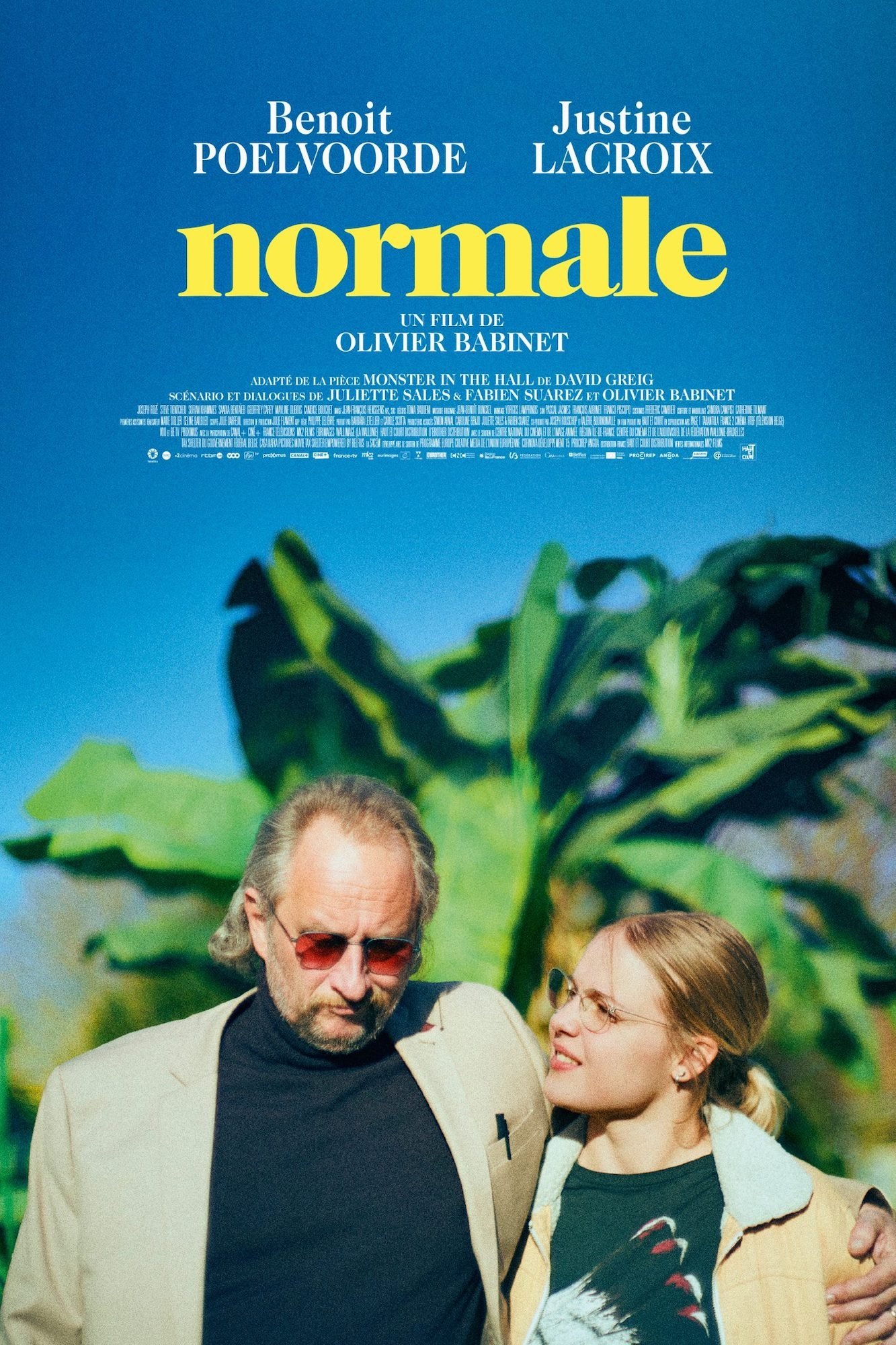 Locandina di Normale