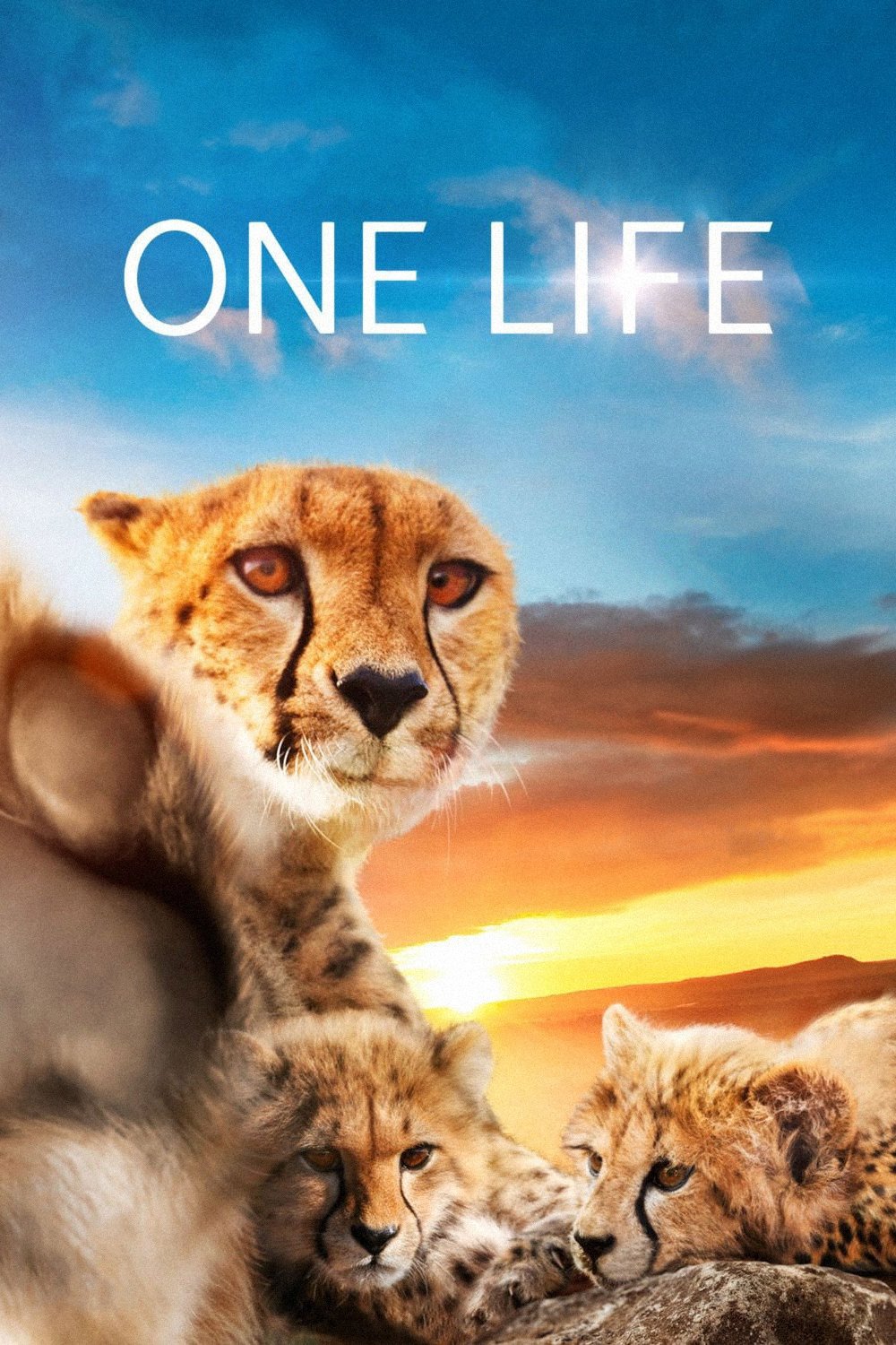 Locandina di One Life