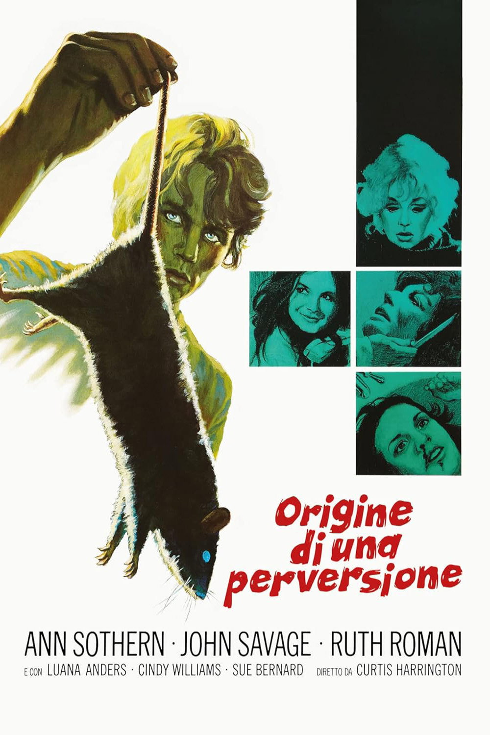 Locandina di Origine di una perversione