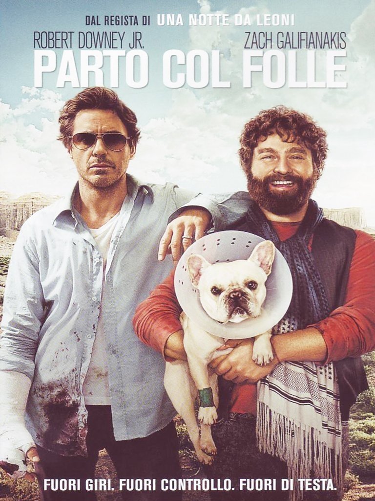 Locandina di Parto col folle
