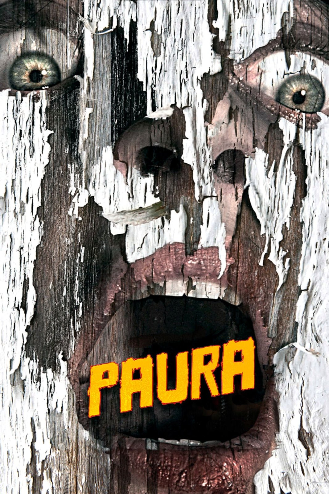 Locandina di Paura