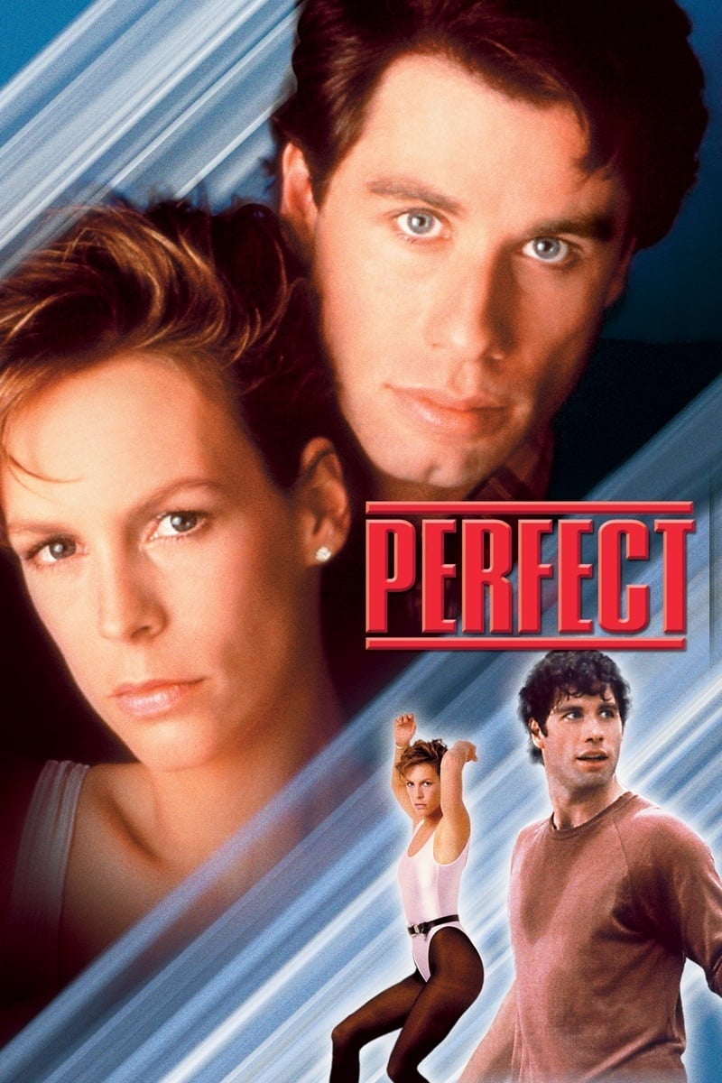 Locandina di Perfect
