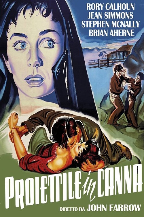 Locandina di Proiettile in canna