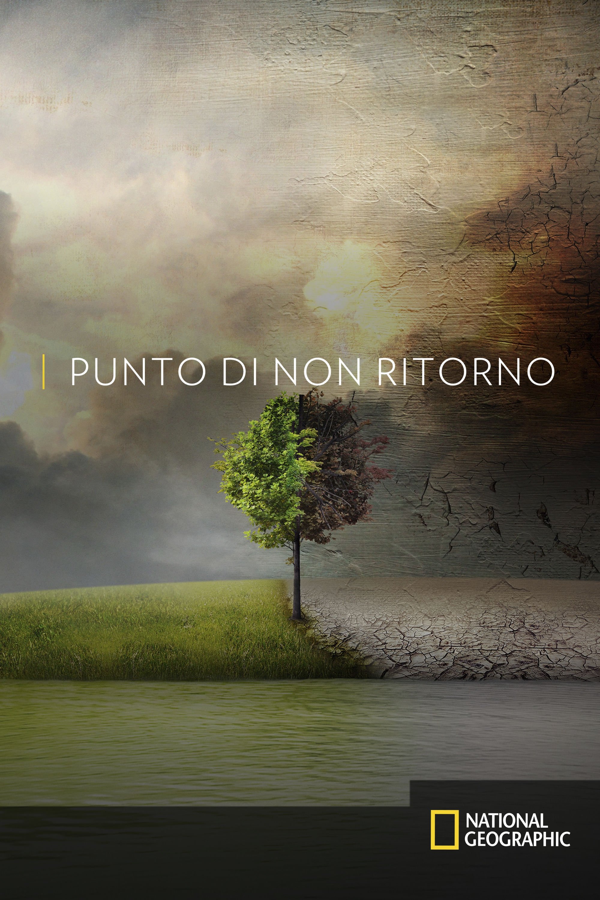 Locandina di Punto di non ritorno - Before the Flood