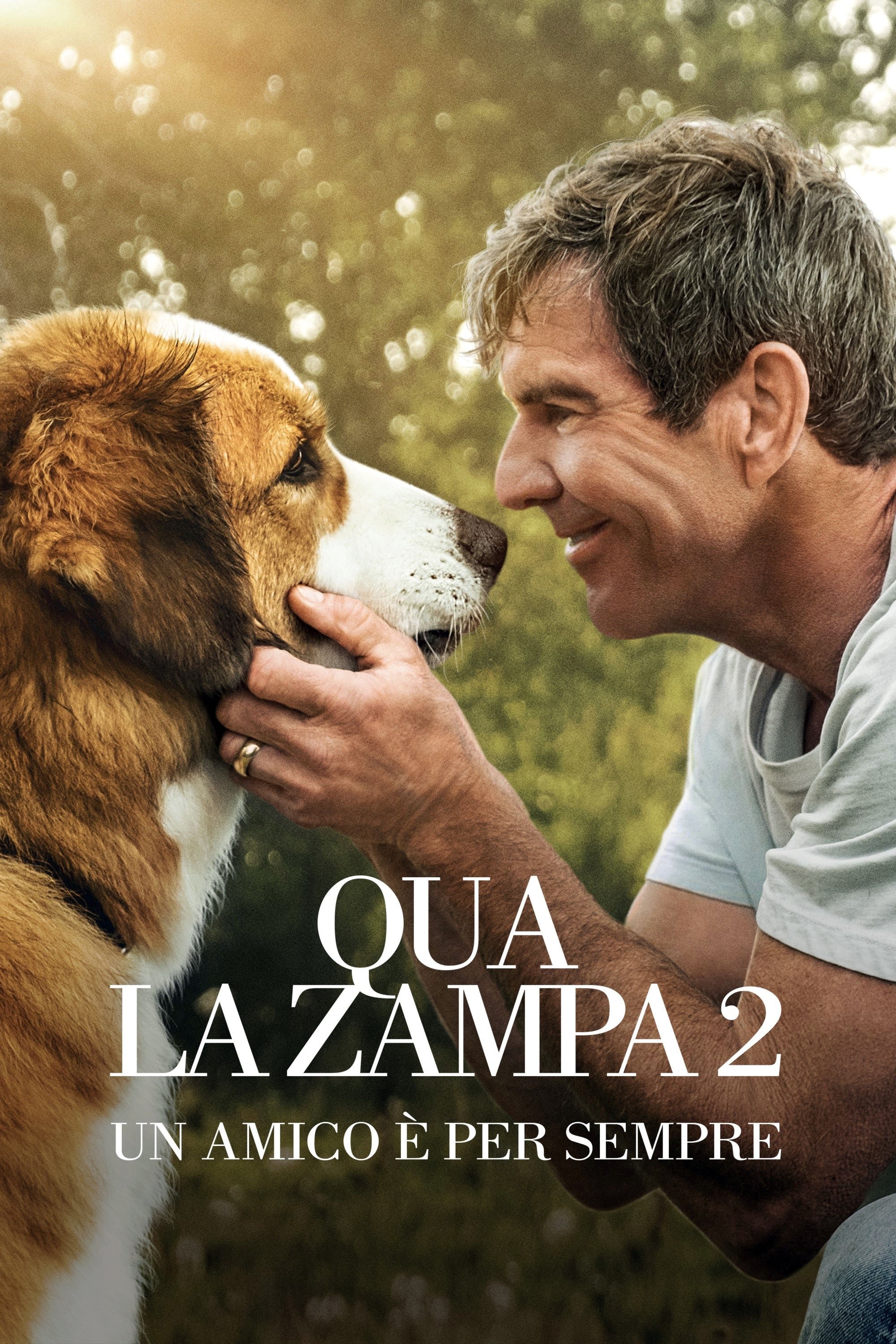 Locandina di Qua la zampa 2 - Un amico è per sempre