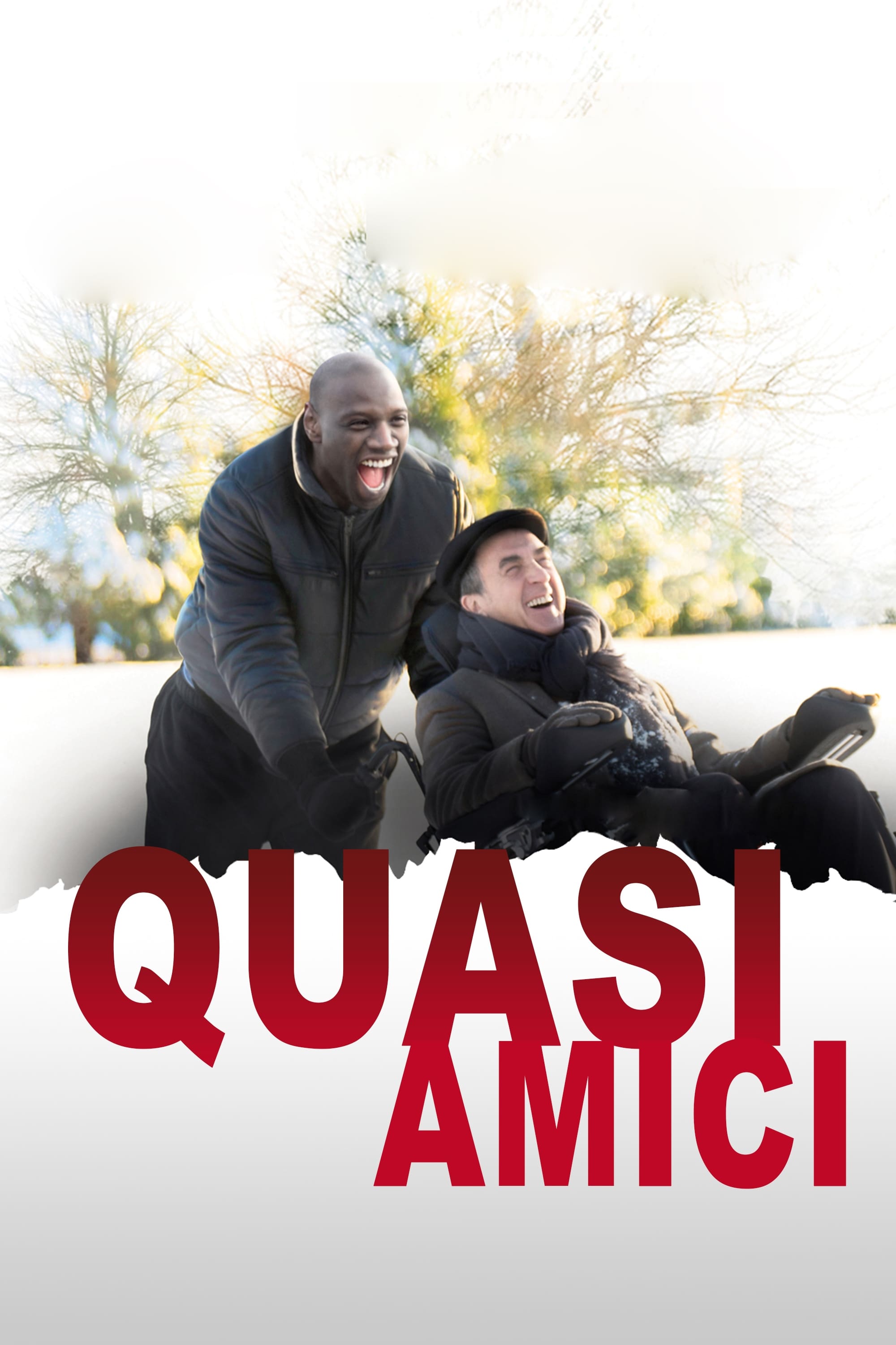 Locandina di Quasi amici - Intouchables