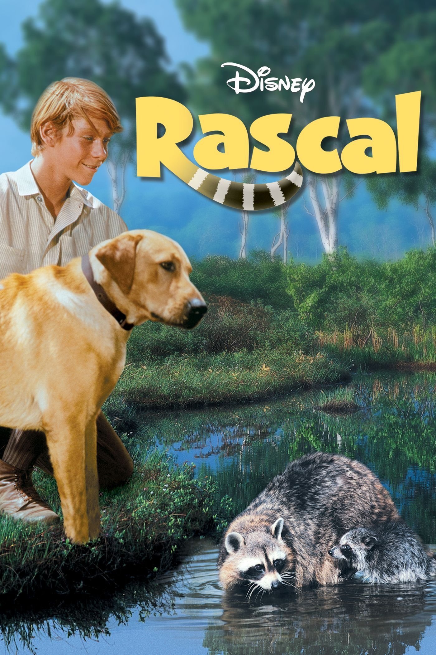 Locandina di Rascal, l'orsetto lavatore