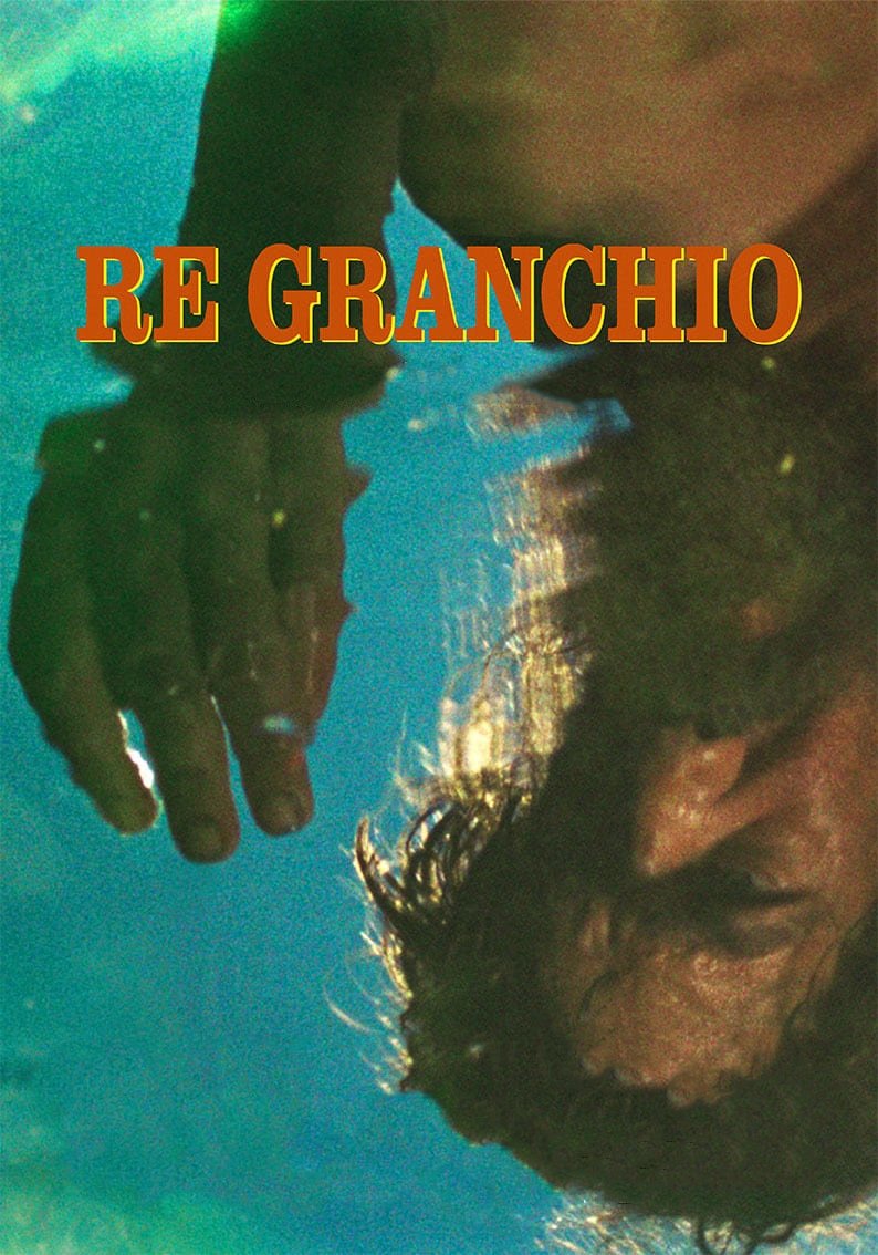 Locandina di Re Granchio
