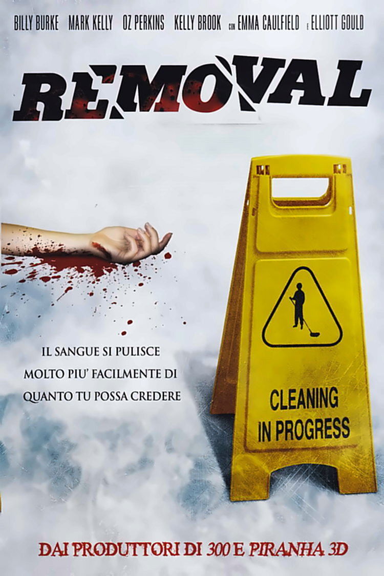 Locandina di Removal