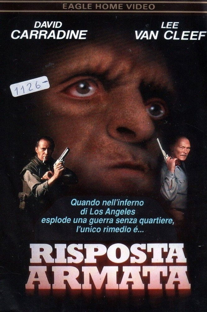Locandina di Risposta armata
