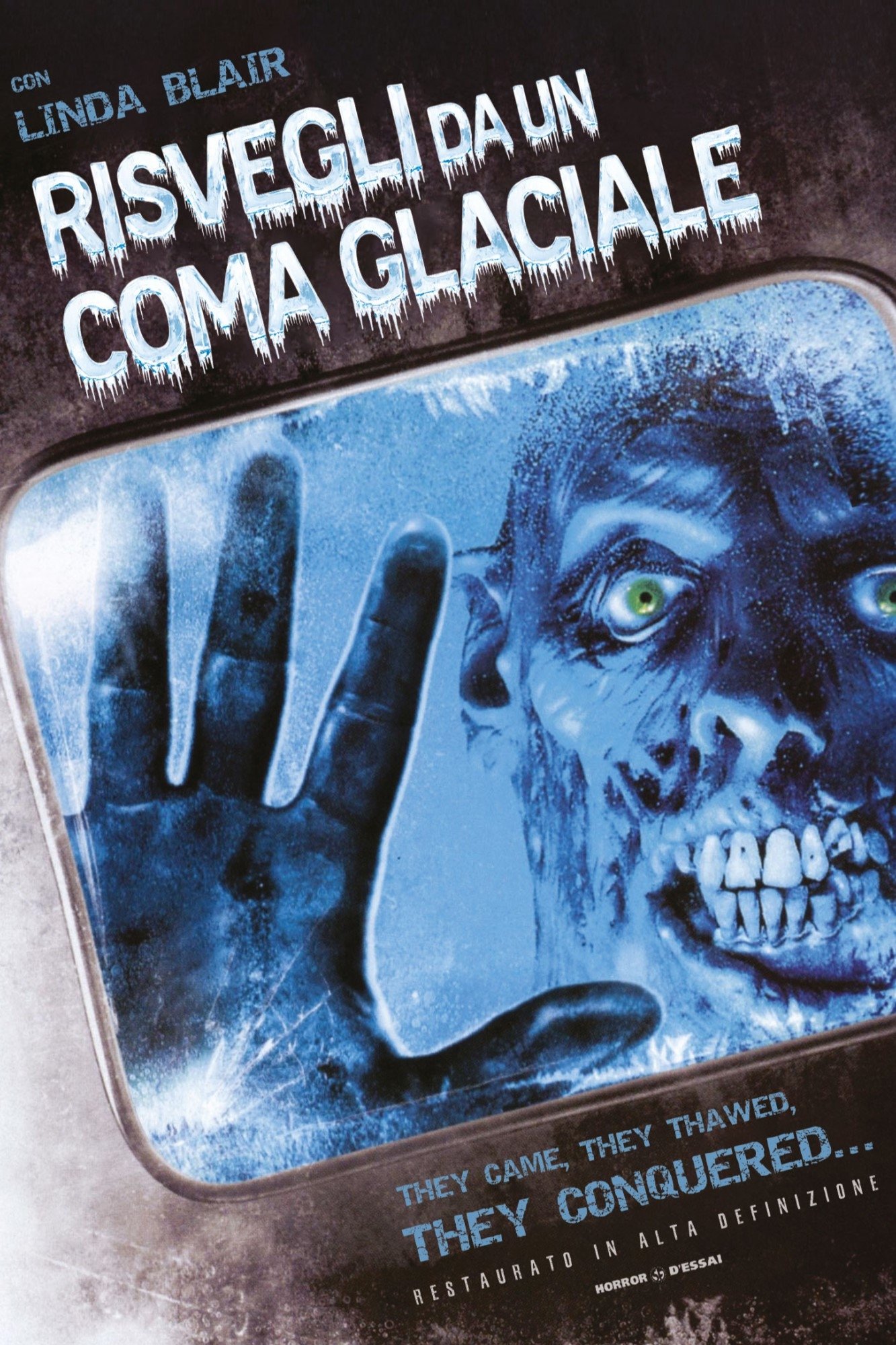 Locandina di Risvegli da un coma glaciale