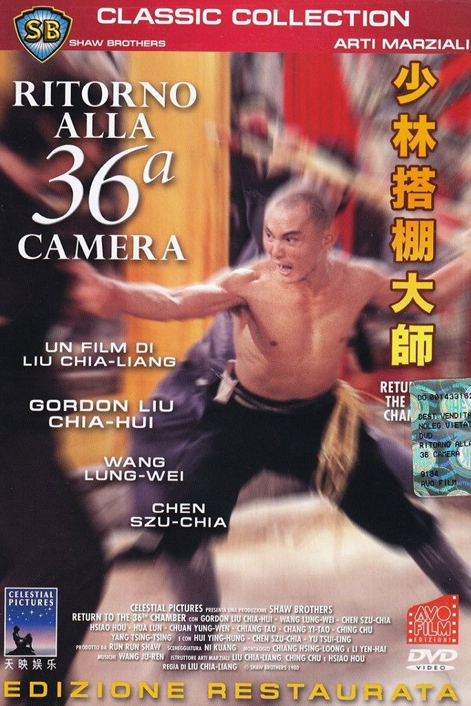 Locandina di Ritorno alla 36a camera