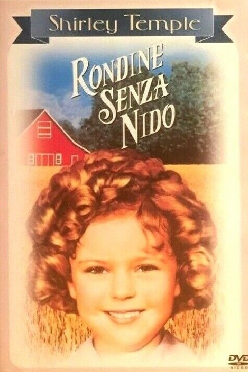 Locandina di Rondine senza nido