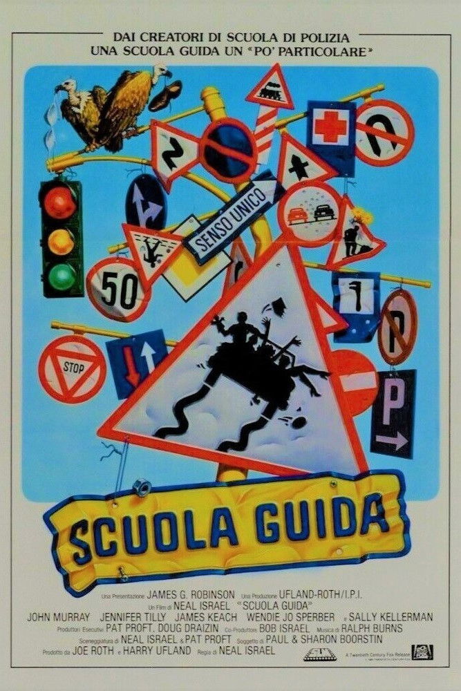 Locandina di Scuola guida