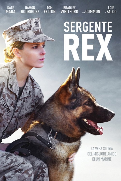 Locandina di Sergente Rex