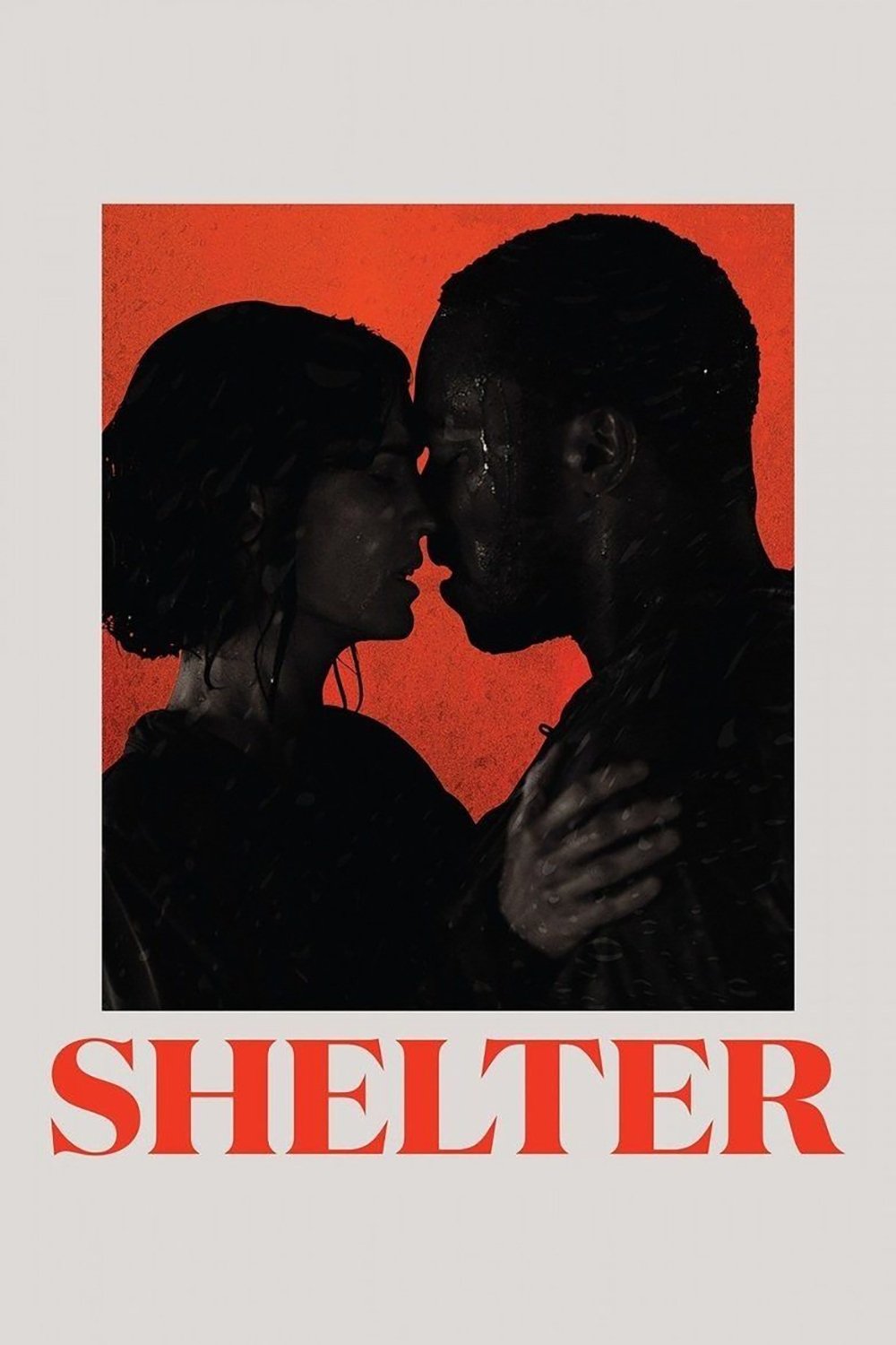 Locandina di Shelter