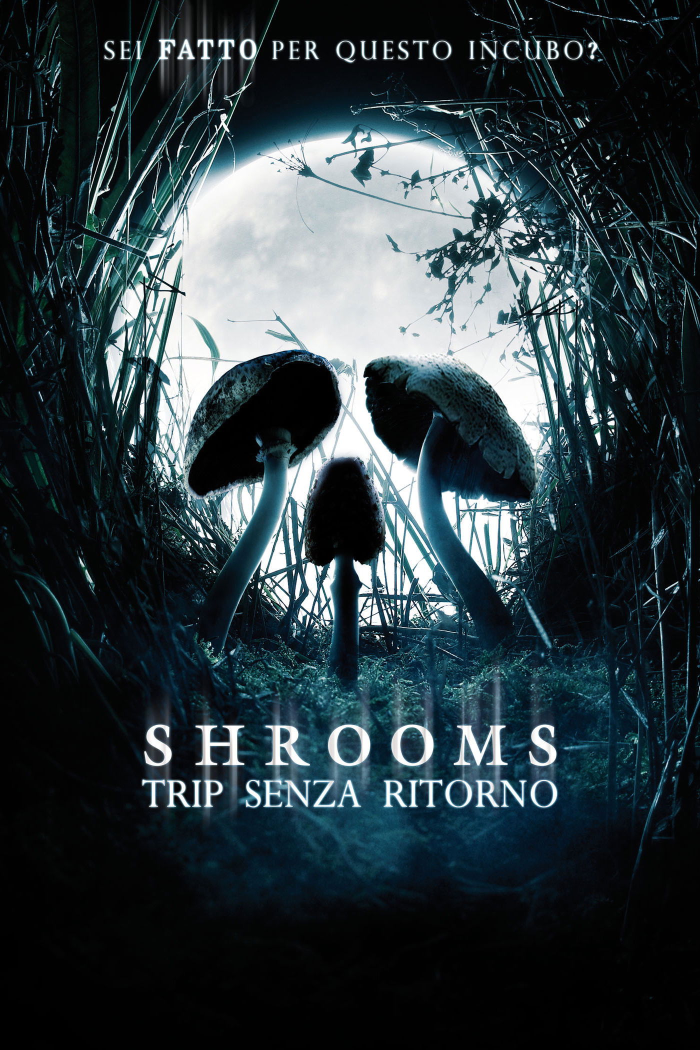 Locandina di Shrooms - Trip senza ritorno