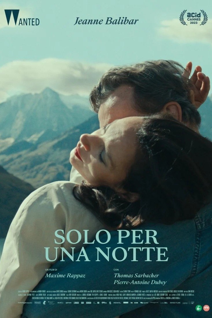 Locandina di Solo per una notte