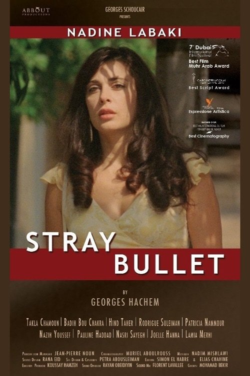 Locandina di Stray bullet