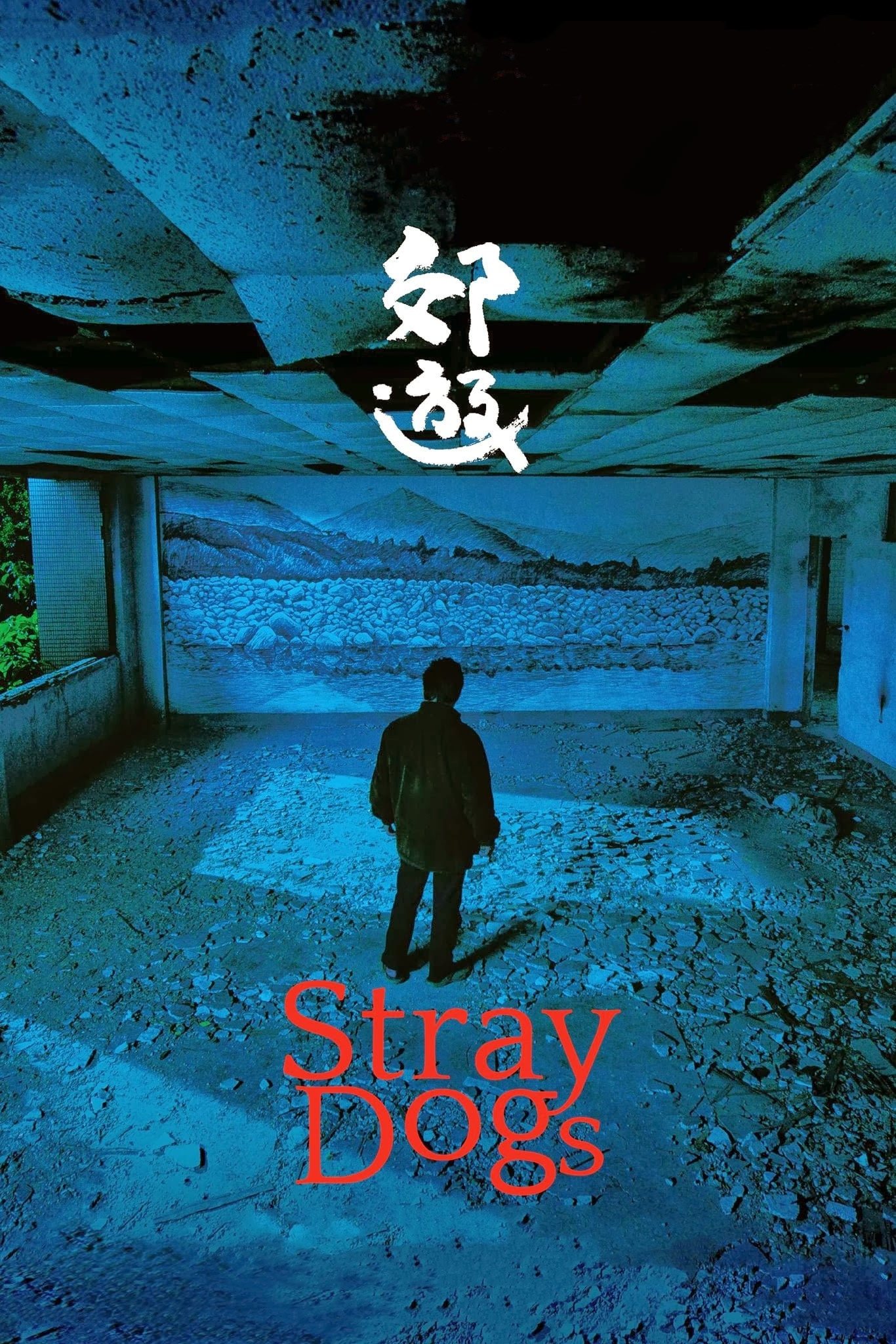 Locandina di Stray Dogs